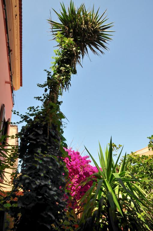 B&B L'Umbra Di Lu Soli Castelsardo Buitenkant foto
